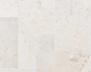 Shell white French pattern tiles and pavers white tiles